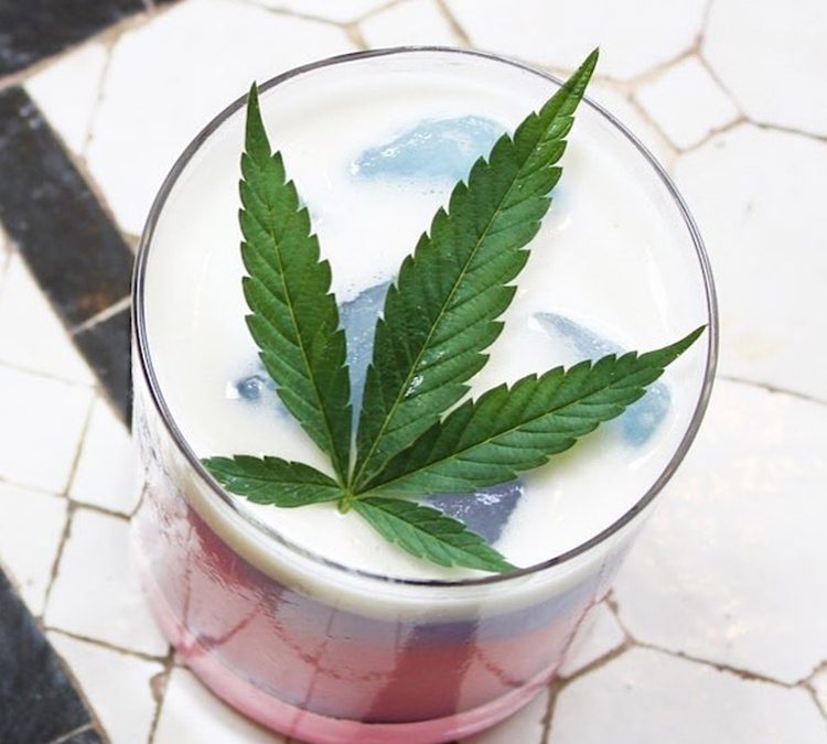 CANNABIS DRINK OPTIONS