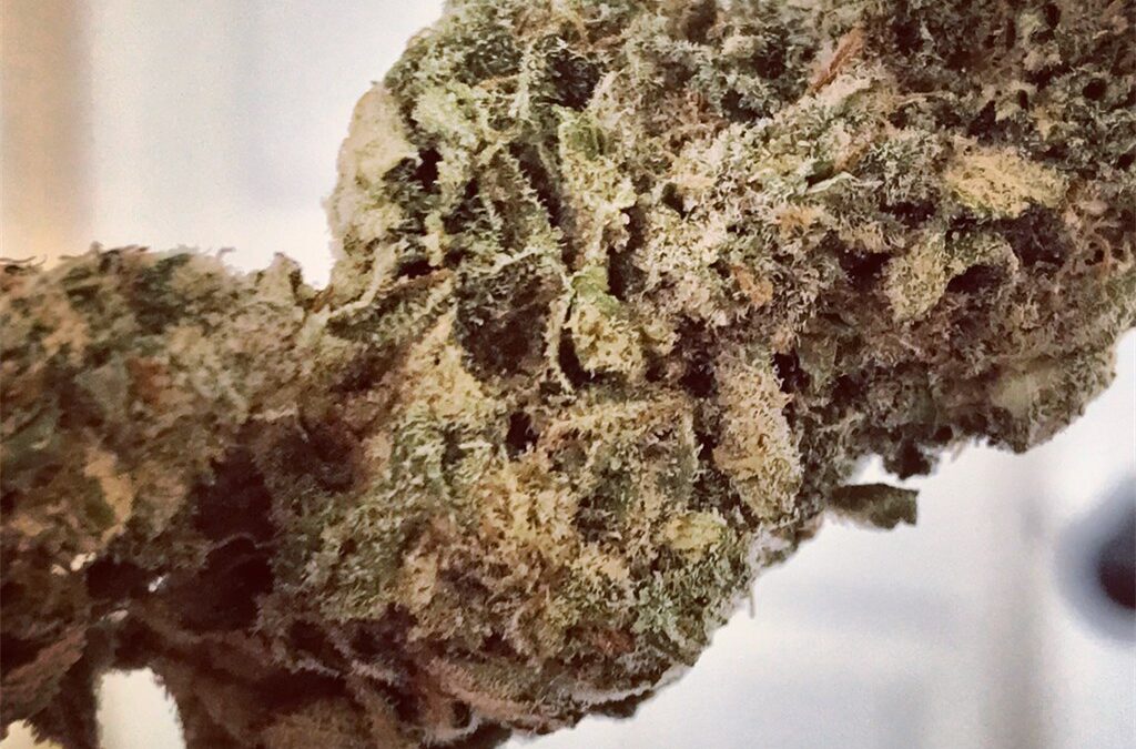 EXPLORING THE ROLE OF WEED DELIVERY IN MEDICAL MARIJUANA ACCESSIBILITY 