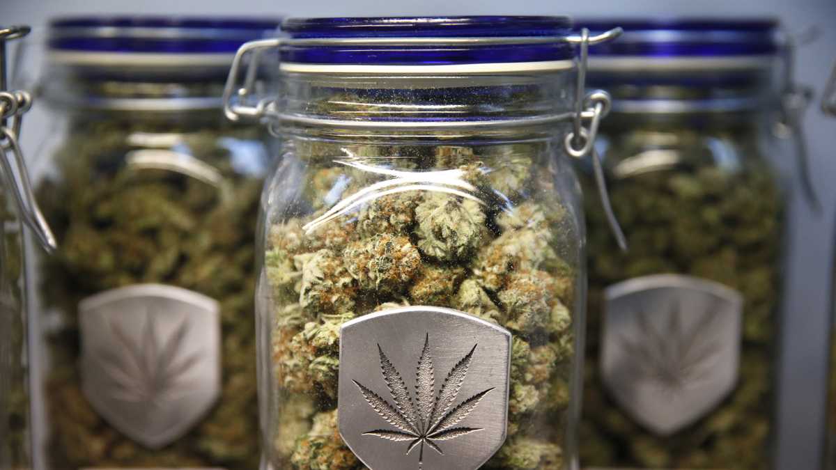 THE ULTIMATE GUIDE TO MAIL ORDER CANNABIS: WHAT YOU NEED TO KNOW 